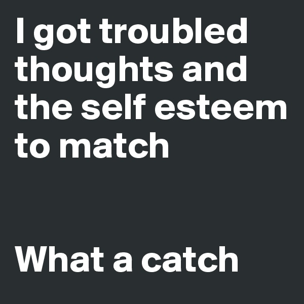 I got troubled thoughts and the self esteem to match


What a catch