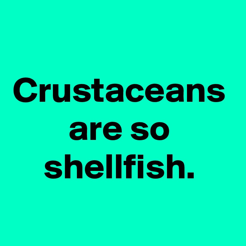 Crustaceans are so shellfish.