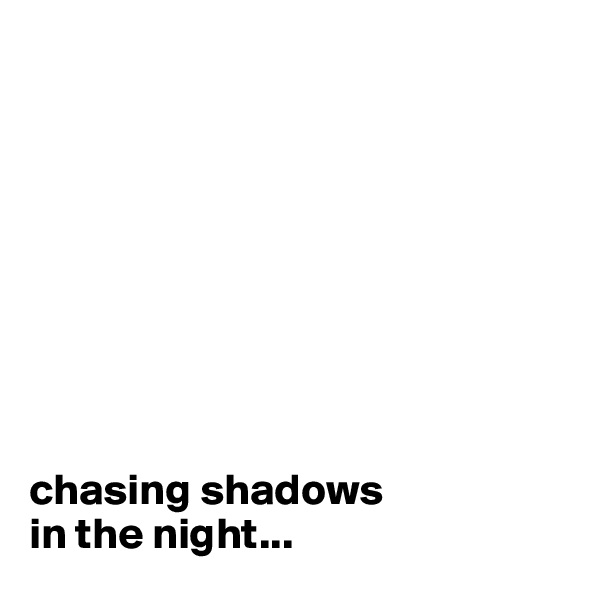 









chasing shadows 
in the night...