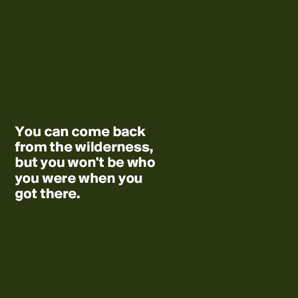 






You can come back 
from the wilderness, 
but you won't be who 
you were when you 
got there. 




