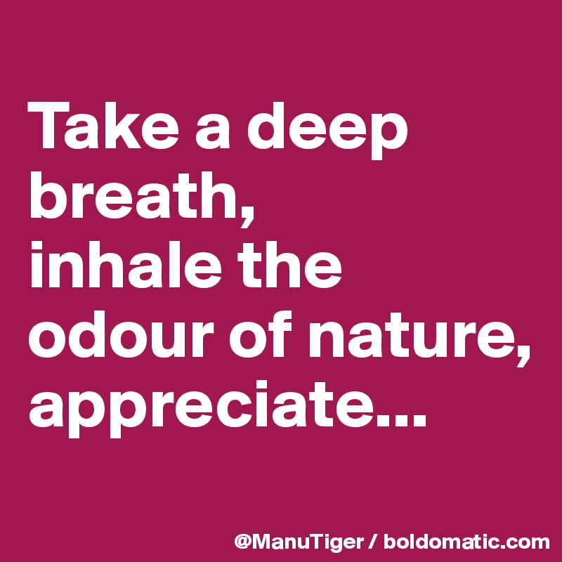 
Take a deep breath,
inhale the odour of nature,
appreciate...

