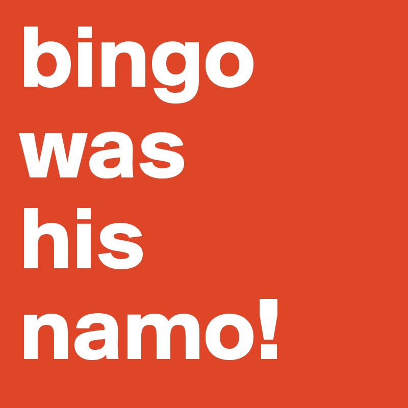 bingo
was
his namo!