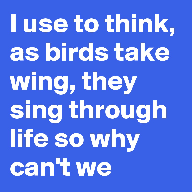 I use to think, as birds take wing, they sing through life so why can't we