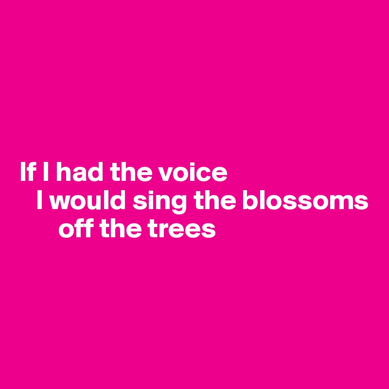 
                   
        


If I had the voice
   I would sing the blossoms
       off the trees



