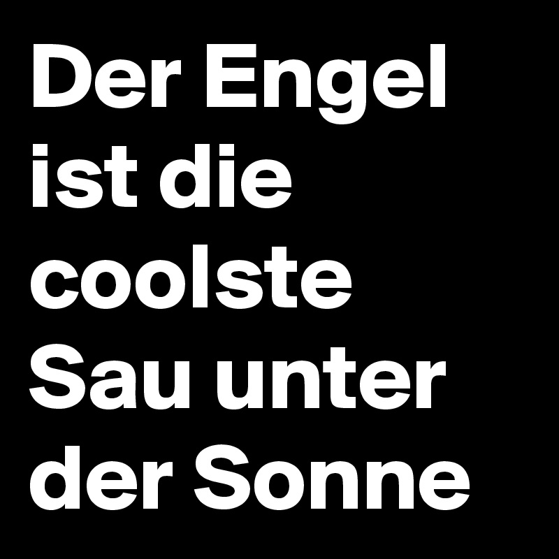 Der Engel ist die coolste Sau unter der Sonne