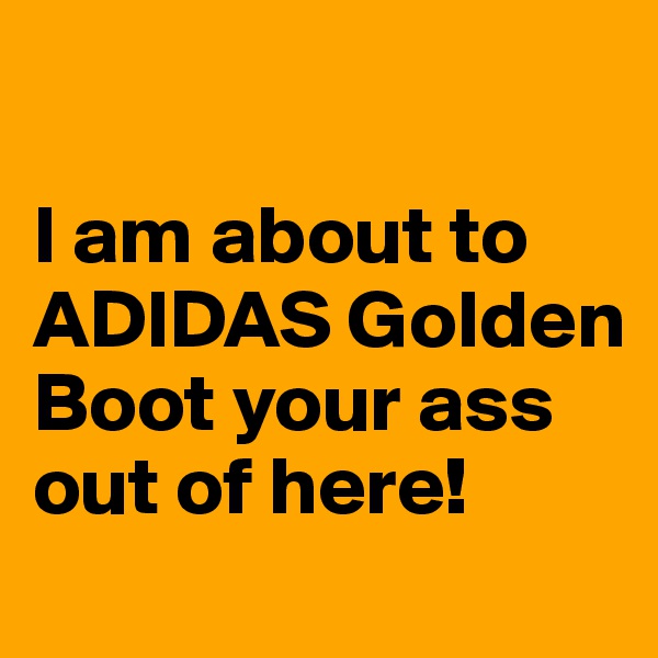

I am about to ADIDAS Golden Boot your ass out of here! 
