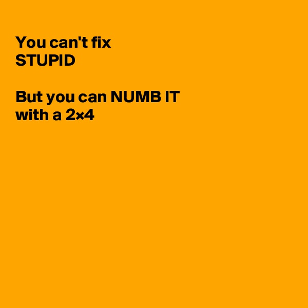 
You can't fix
STUPID

But you can NUMB IT
with a 2×4








