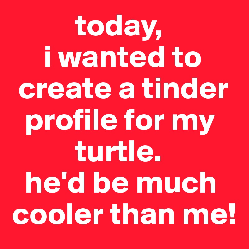           today, 
     i wanted to   
 create a tinder  
  profile for my   
          turtle. 
  he'd be much cooler than me! 