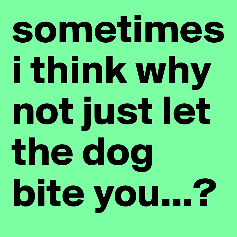 Sometimes I Think Why Not Just Let The Dog Bite You? - Post By 