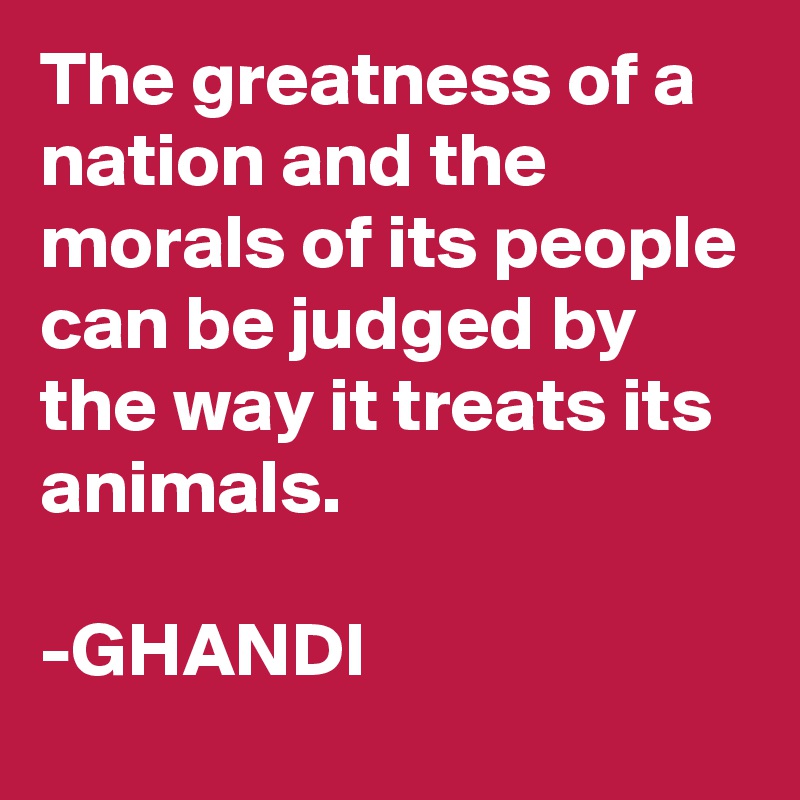 The greatness of a nation and the morals of its people can be judged by the way it treats its animals. 
 
-GHANDI