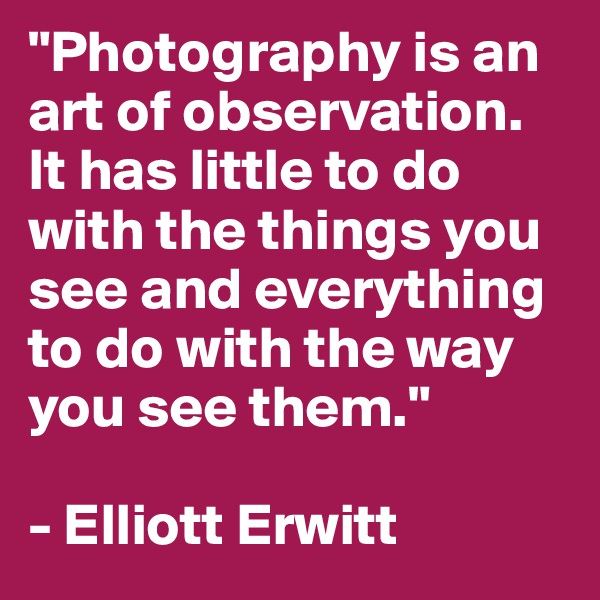 "Photography is an art of observation. It has little to do with the things you see and everything to do with the way you see them." 

- Elliott Erwitt