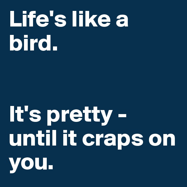 Life's like a bird. 


It's pretty -
until it craps on you.
