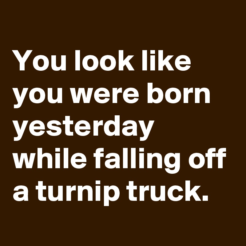 
You look like you were born yesterday while falling off a turnip truck.