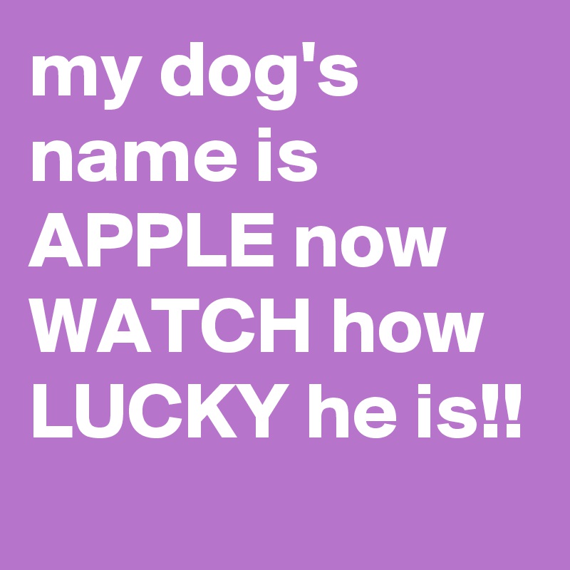 my dog's name is APPLE now WATCH how LUCKY he is!!