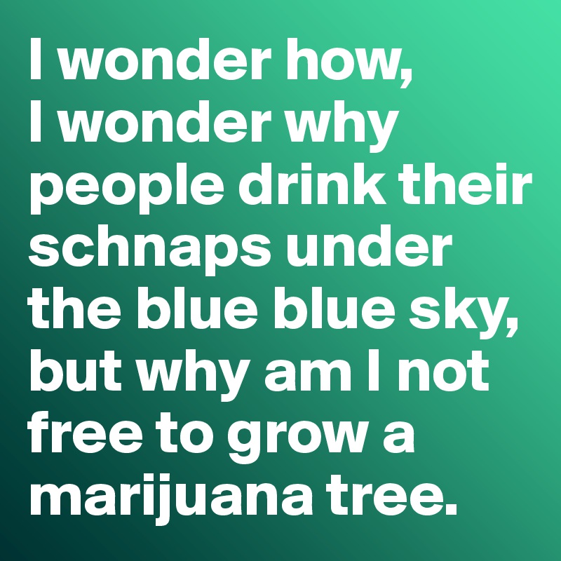 I wonder how, 
I wonder why people drink their schnaps under the blue blue sky, but why am I not free to grow a marijuana tree. 