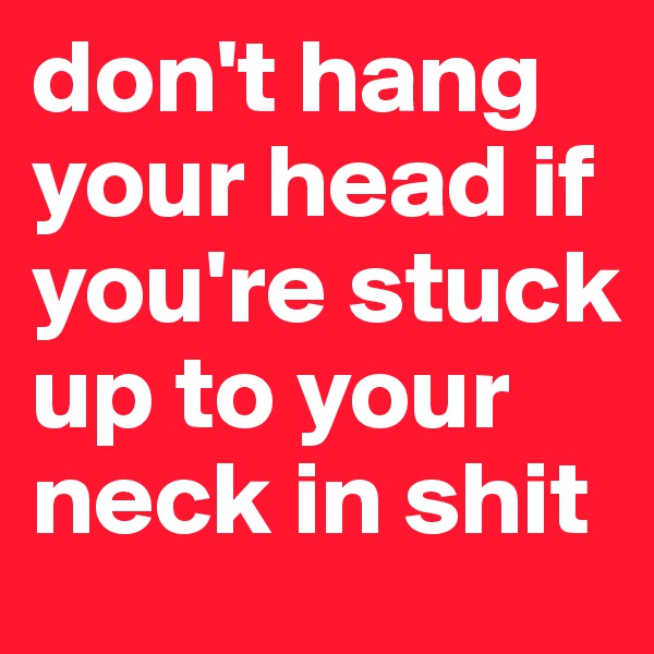 don't hang your head if you're stuck up to your neck in shit