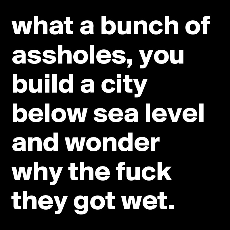 what a bunch of assholes, you build a city below sea level and wonder why the fuck they got wet.