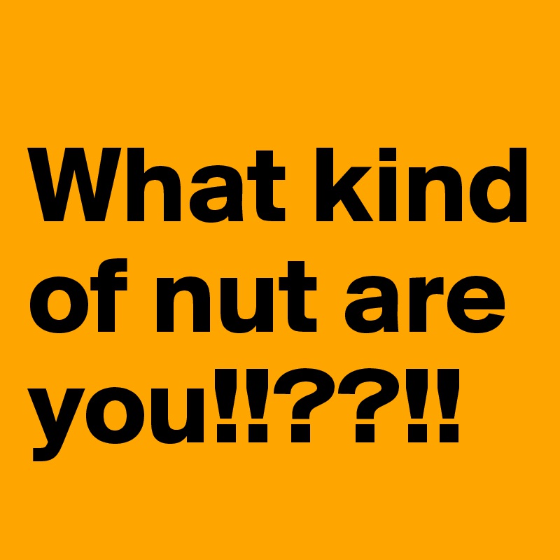 
What kind of nut are you!!??!!