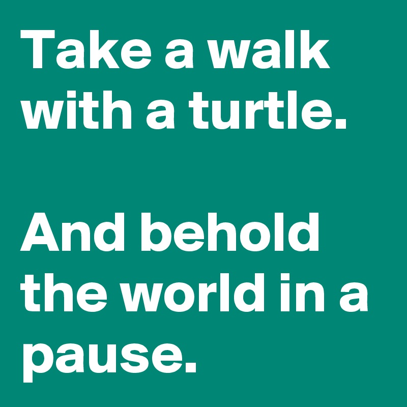 Take a walk with a turtle. 

And behold the world in a pause. 