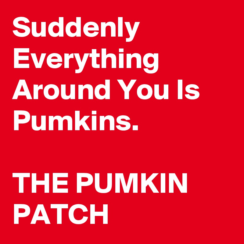 Suddenly Everything Around You Is Pumkins. 
     
THE PUMKIN PATCH