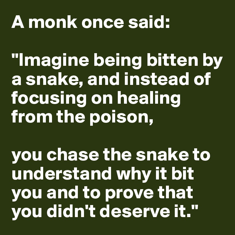 A monk once said:

"Imagine being bitten by a snake, and instead of focusing on healing from the poison,

you chase the snake to understand why it bit you and to prove that you didn't deserve it."