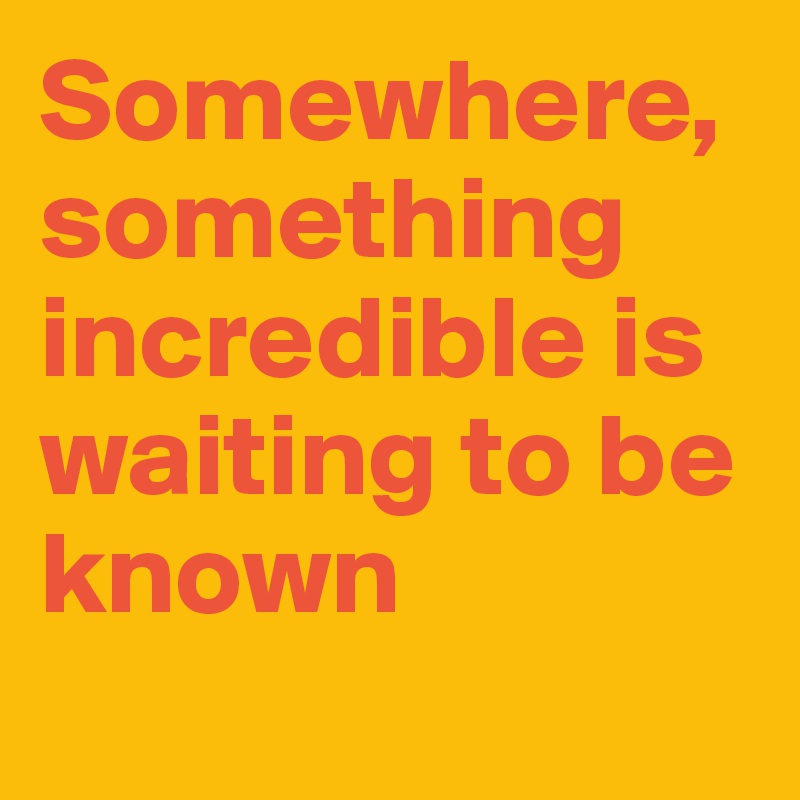 Somewhere, something incredible is waiting to be known  
