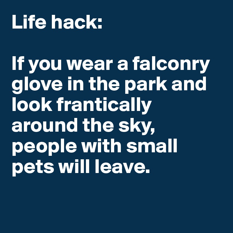 Life hack:

If you wear a falconry glove in the park and look frantically around the sky, people with small pets will leave. 

