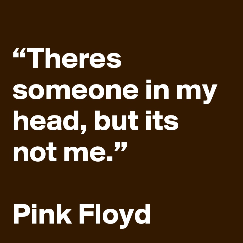 
“Theres someone in my head, but its not me.”

Pink Floyd 