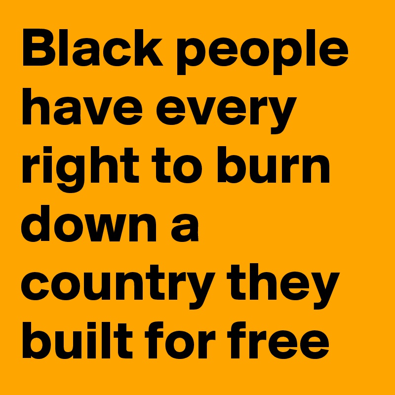 Black people have every right to burn down a country they built for free