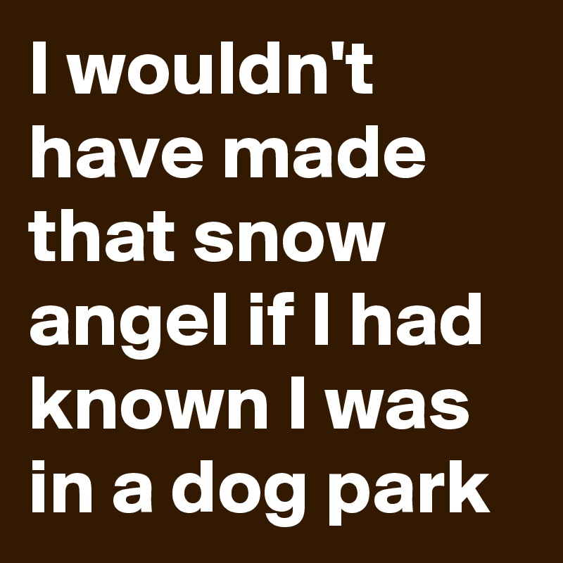 I wouldn't have made that snow angel if I had known I was in a dog park