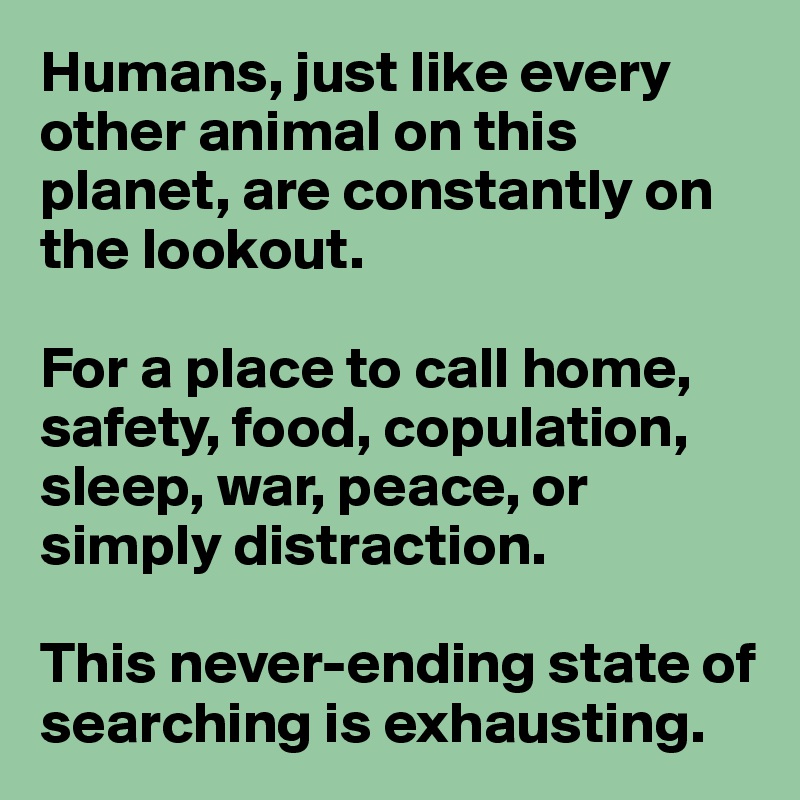 Humans, just like every other animal on this planet, are constantly on the lookout.

For a place to call home, safety, food, copulation, sleep, war, peace, or simply distraction.

This never-ending state of searching is exhausting.