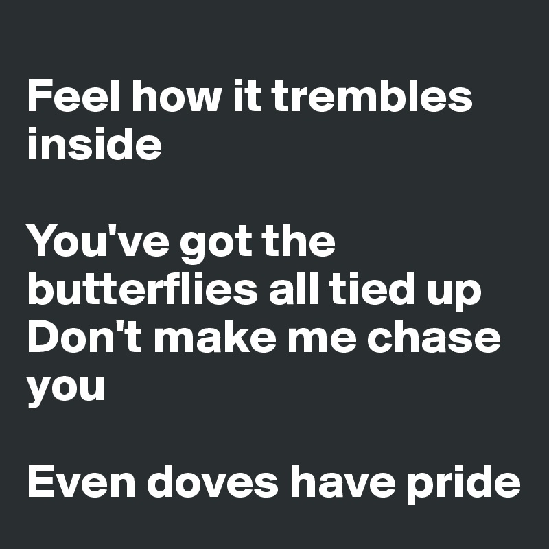 
Feel how it trembles inside

You've got the butterflies all tied up
Don't make me chase you

Even doves have pride
