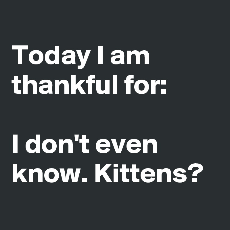 
Today I am thankful for:

I don't even know. Kittens?
