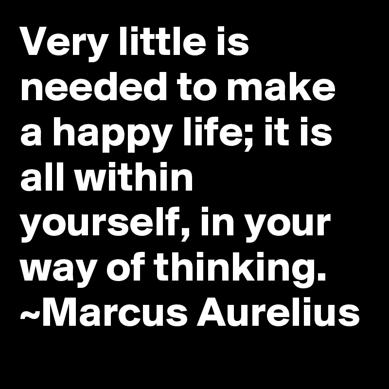 Very little is needed to make a happy life; it is all within yourself, in your way of thinking.
~Marcus Aurelius