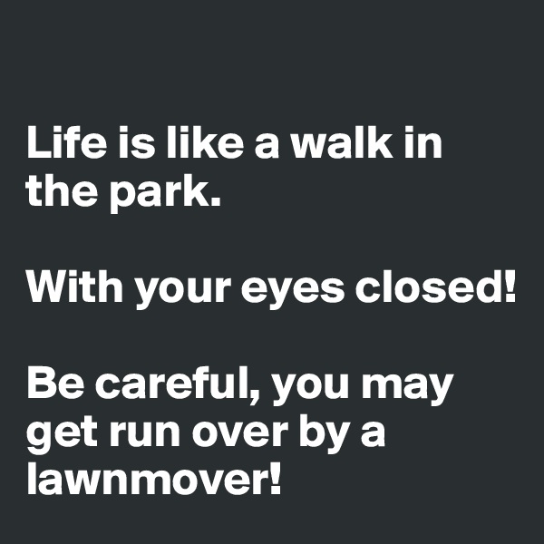 

Life is like a walk in the park.

With your eyes closed!

Be careful, you may get run over by a lawnmover!