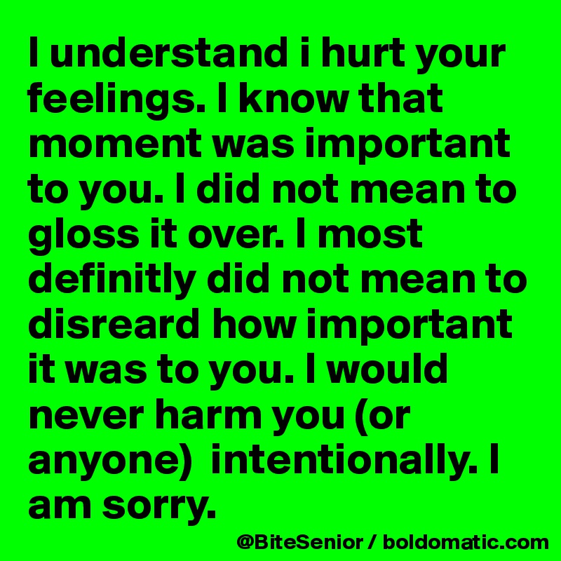 I Understand I Hurt Your Feelings I Know That Moment Was Important To You I Did