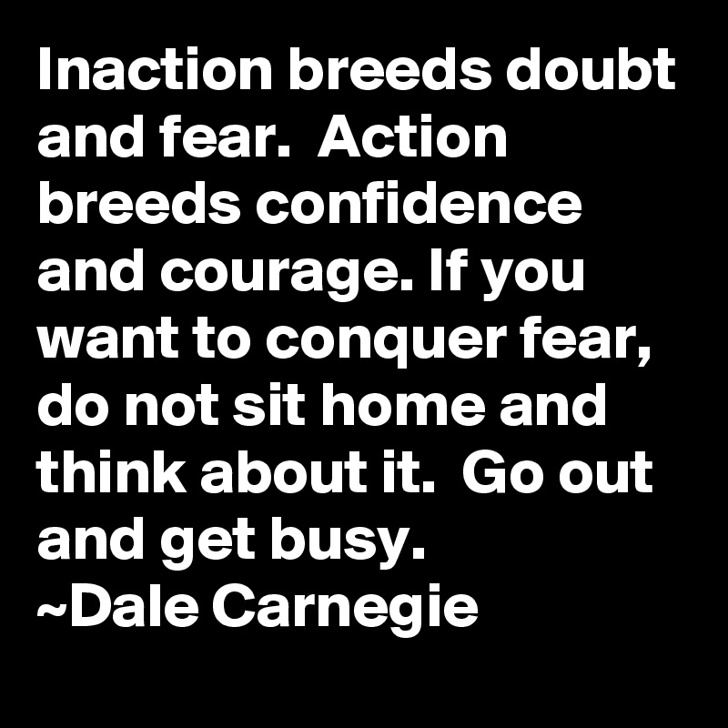 Inaction breeds doubt and fear.  Action breeds confidence and courage. If you want to conquer fear, do not sit home and think about it.  Go out and get busy.
~Dale Carnegie