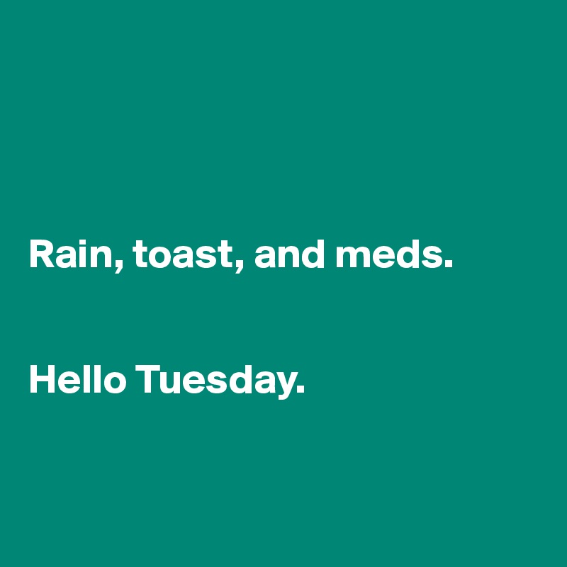 




Rain, toast, and meds. 


Hello Tuesday. 


