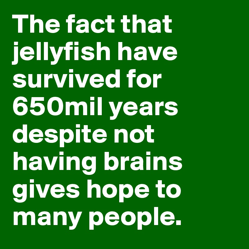 The fact that jellyfish have survived for 650mil years despite not having brains gives hope to many people.