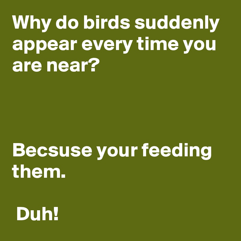 Why do birds suddenly appear every time you are near?



Becsuse your feeding them.

 Duh!