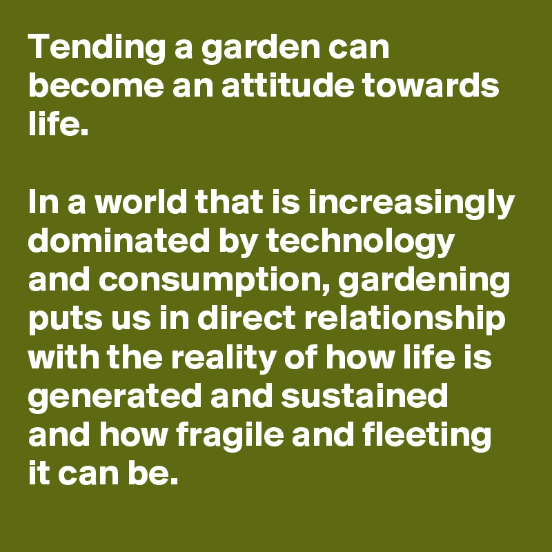 Tending a garden can become an attitude towards life. 

In a world that is increasingly dominated by technology and consumption, gardening puts us in direct relationship with the reality of how life is generated and sustained and how fragile and fleeting it can be.