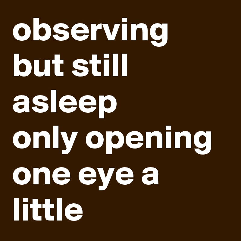 observing but still asleep
only opening
one eye a little