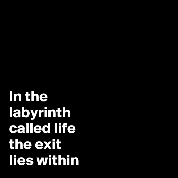 




In the 
labyrinth 
called life 
the exit 
lies within
