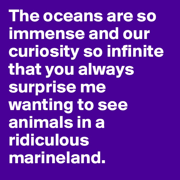 The oceans are so immense and our curiosity so infinite that you always surprise me wanting to see animals in a ridiculous marineland.