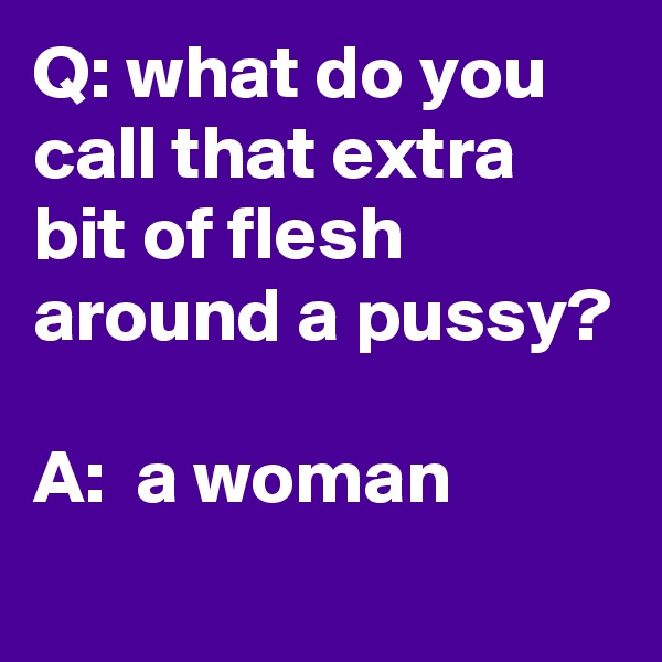 Q: what do you call that extra bit of flesh around a pussy?

A:  a woman
