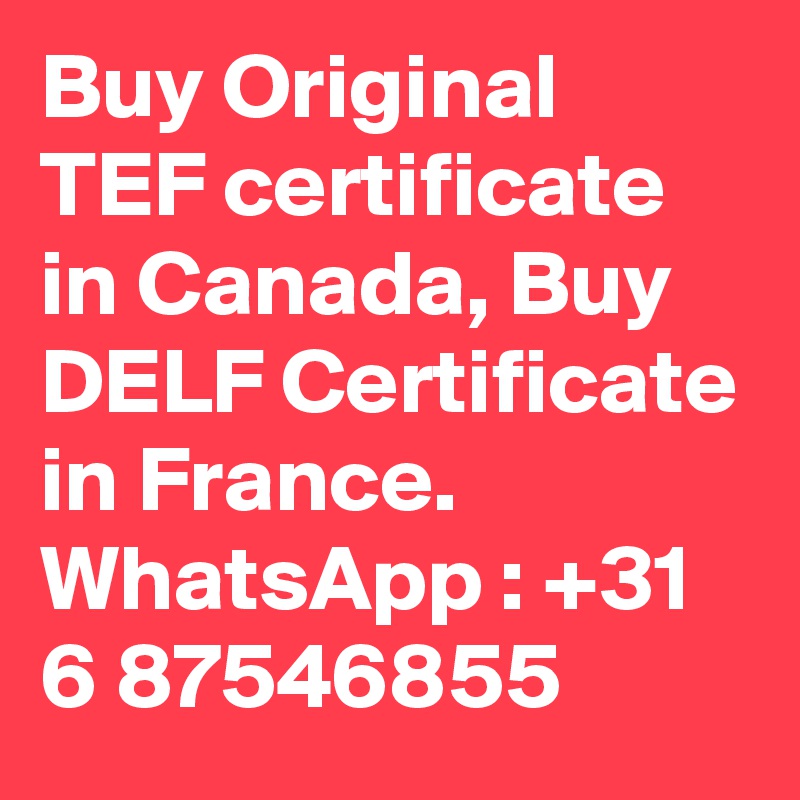 Buy Original TEF certificate in Canada, Buy DELF Certificate in France. WhatsApp : +31 6 87546855