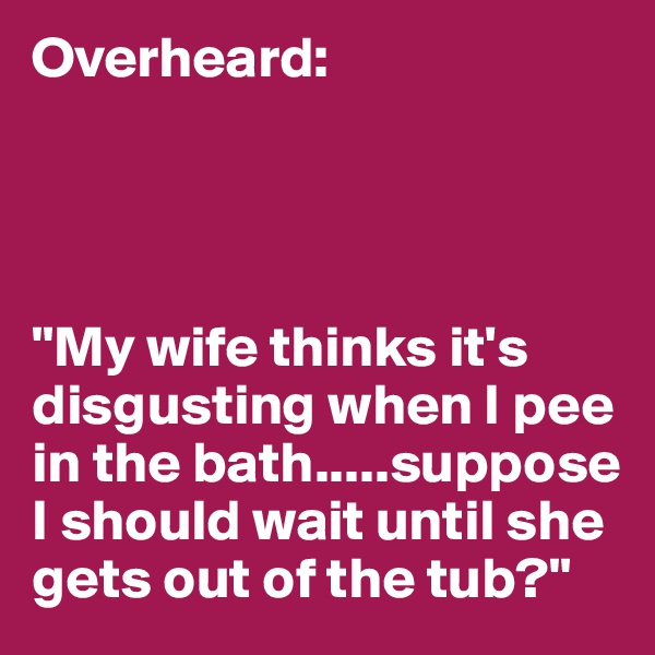 Overheard:




"My wife thinks it's disgusting when I pee in the bath.....suppose I should wait until she gets out of the tub?"