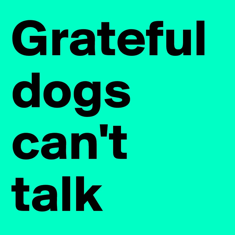 Grateful dogs can't talk