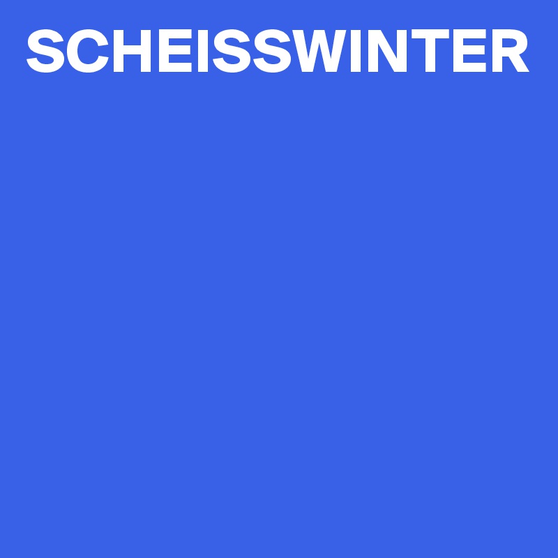 SCHEISSWINTER





