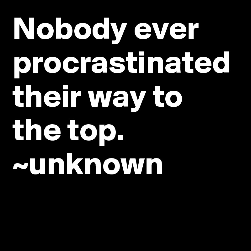 Nobody ever procrastinated their way to the top.
~unknown